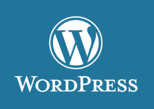 Why Is WordPress So Popular? Understanding the Platform That Powers the Web