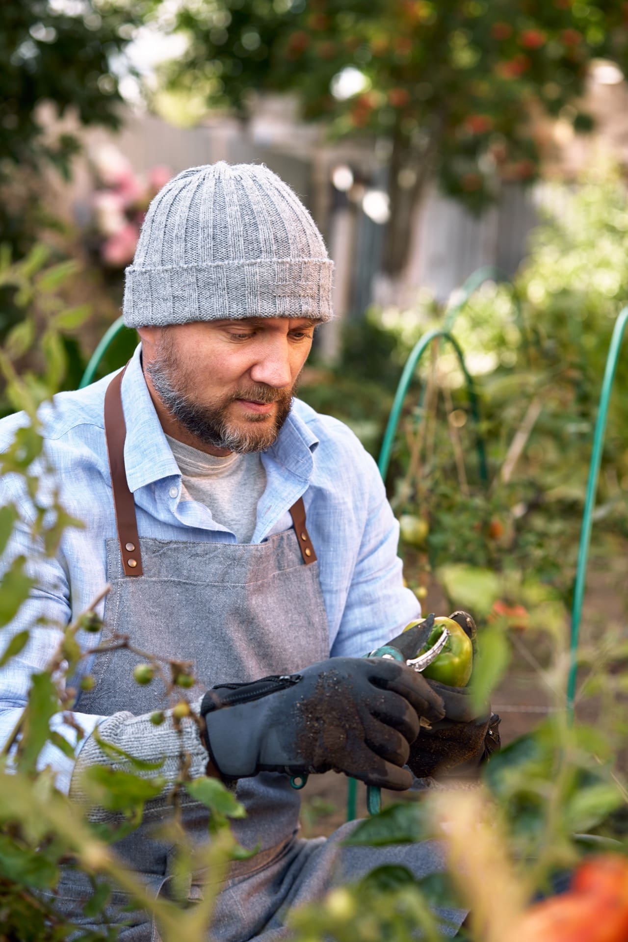 Struggling with poor website performance for Lebanon business