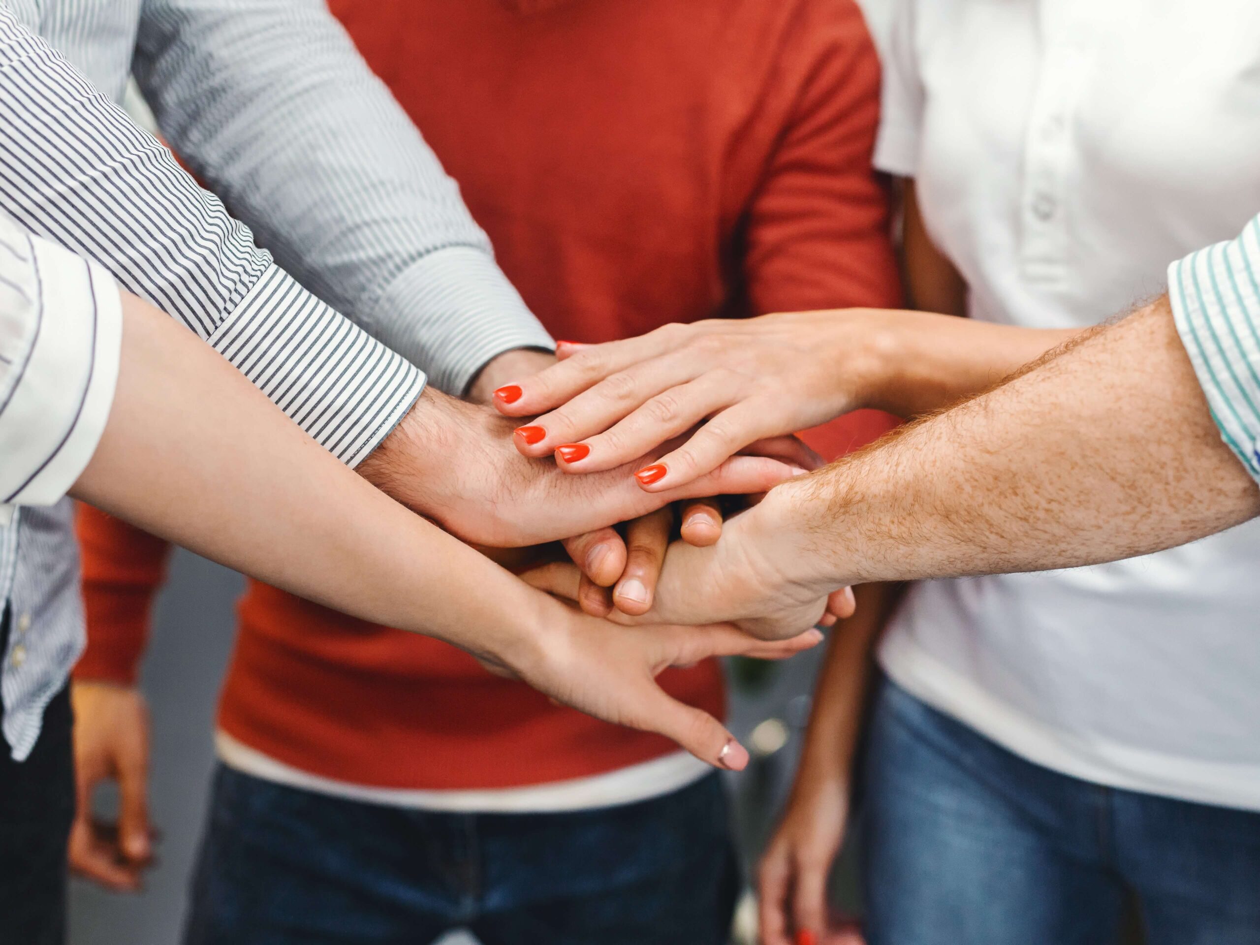 Business owners agreeing on teamwork for best website platform